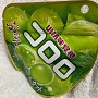 UHA味覚糖 コロロ　シャインマスカット の写真